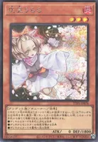 灰流うらら (TTP1-JP078) - SE