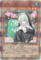 儚無みずき (QCAC-JP052) - QCSE