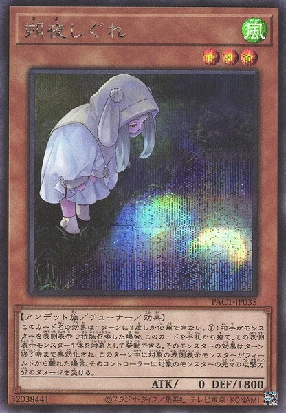 朔夜しぐれ (PAC1-JP035)
