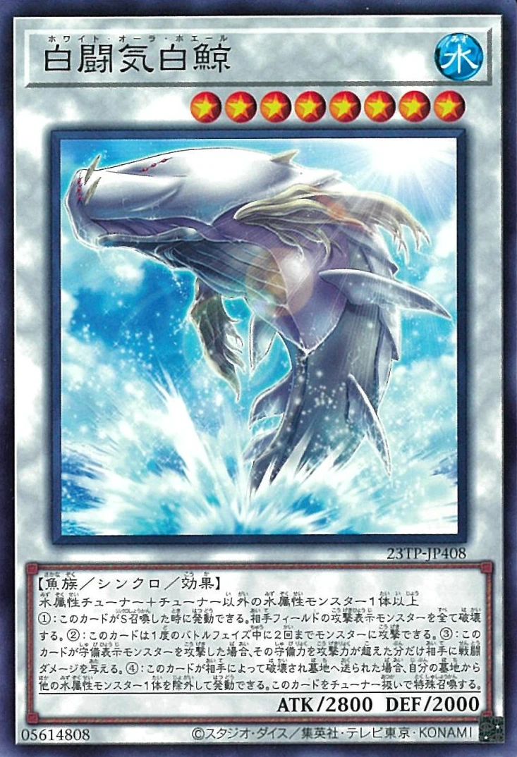 白闘気白鯨 FRONT