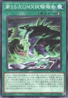 第５５次GMX試験報告 (WPP7-JP037) - N