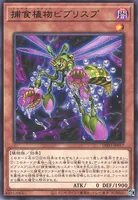 捕食植物ビブリスプ (捕食植物ビブリスプ)