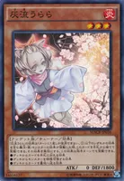 灰流うらら (MACR-JP036) - SR