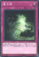 量子猫 (19TP-JP415) - N