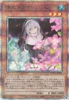 儚無みずき (QCAC-JP052) - QCSE(AA)