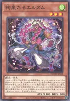 絢嵐たるエルダム (cmh09jiq00o5hsdiu7jl3n15c)