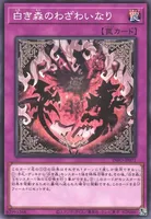 白き森のわざわいなり (INFO-JP071) - N