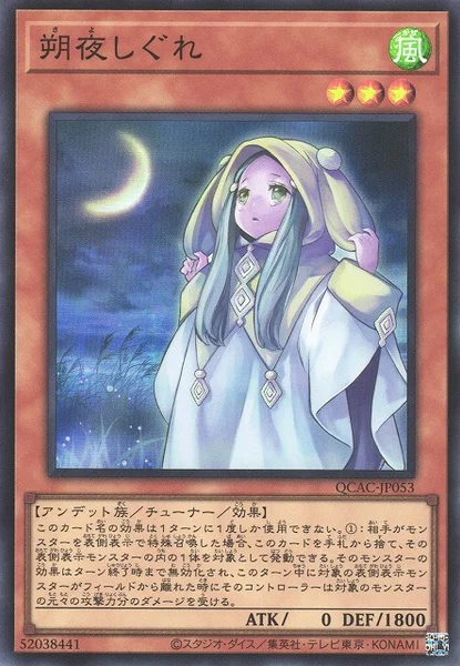 朔夜しぐれ (QCAC-JP053)