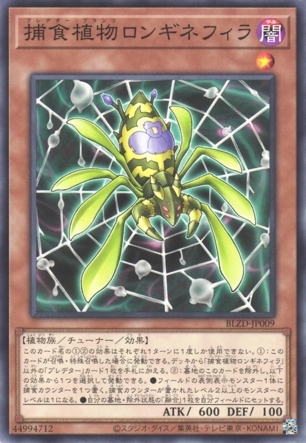 捕食植物ロンギネフィラ FRONT