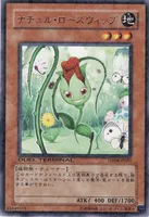 ナチュル・ローズウィップ (DT04-JP021) - R