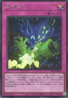 REVOLUTION BOOSTER －トゥーン・ウィッチクラフト・破械－ | 当たり
