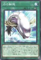 白の輪廻 (白の輪廻)
