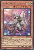 教導の騎士フルルドリス (CH01-JP015) - SE