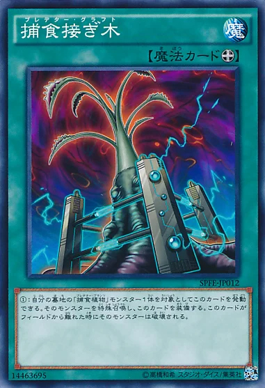 捕食接ぎ木 (SPFE-JP012)