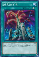 捕食接ぎ木 (捕食接ぎ木)