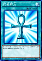 死者蘇生 (SDKS-JP025) - N