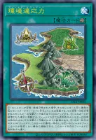 環境適応力 (YAC1-JP016)