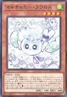 マルチャミー・フワロス (マルチャミー・フワロス)