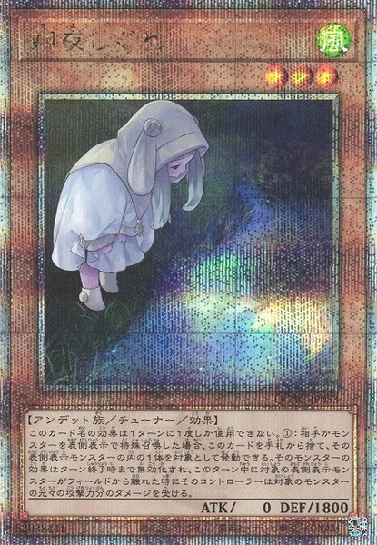 朔夜しぐれ (QCAC-JP053)