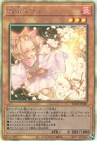 灰流うらら (RC04-JP009) - HR