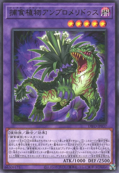 捕食植物アンブロメリドゥス (DIFO-JP037)