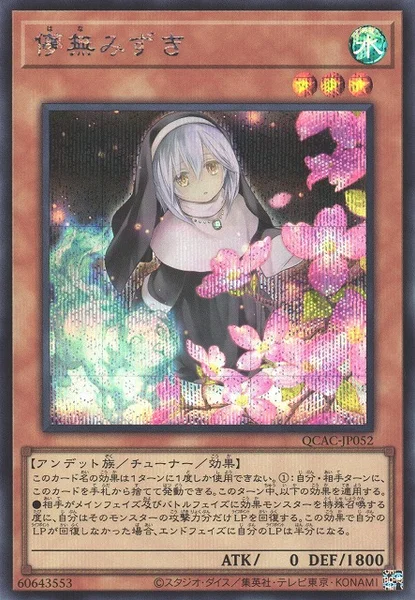 儚無みずき (QCAC-JP052)