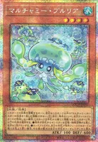 マルチャミー・プルリア (LOCH-JP046) - PSE