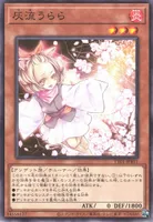 灰流うらら (TT01-JPB11)